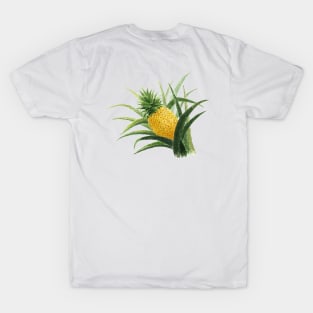 December 20th birthday flower T-Shirt